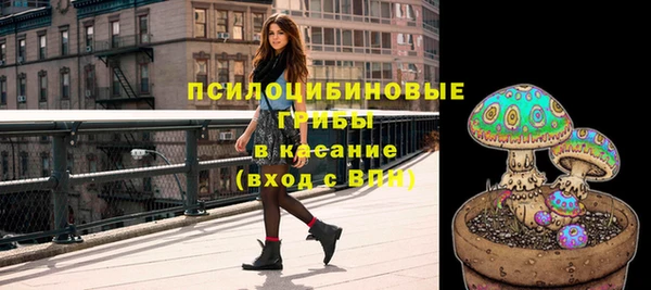 ECSTASY Медвежьегорск