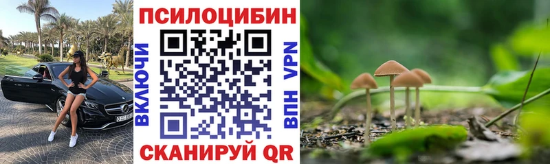 Галлюциногенные грибы прущие грибы закладка Разумное